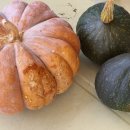 태우농장 이미지