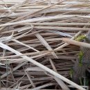 하우스유 이미지