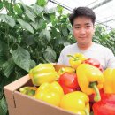 태곡농장 이미지