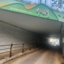 부산종합터미널 이미지