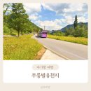 무릉별유천지 동해 아이와 가볼만한곳 라벤더축제 무릉별열차 시멘트아이스크림 후기