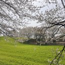 성북2리마을회관 | 충남 당진 카페 피어라, 순성벚꽃길