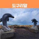 도구리알 | 제주 서쪽 돌고래 스팟 도구리알 뿔소라공원 돌고래 보는 꿀팁
