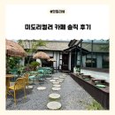 대전 데이트 하기 좋은 카페 미도리컬러 방문 후기