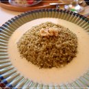 고향연화 이미지