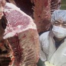 제주축산농협 축산물공판장 이미지