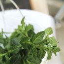 천연화장품&비누 이미지