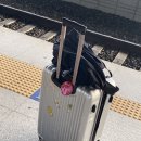 여수드림 호스텔 | [총정리] 여수 혼여행 1일차 _ 여행 코스 및 경비 총정리했읍니다 ✔️