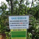 용배 이미지