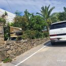 제주윤채 | (제주도 숙소) 서귀포 감귤밭, 자쿠지가 있는 숙소 '제주윤채' 숙박후기