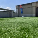 베럴휘트니스 이미지