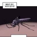 버블노래방 이미지