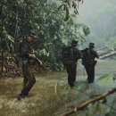 인코리아 이미지