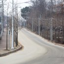 저금어지길 Daum카페