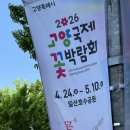 고양국제꽃박람회 일산호수공원 첫날 다녀온 후기