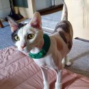 천년나무1단지 이미지