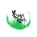 소나무 재선충 예방법을 알립니다. 이미지