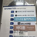 바디튠용인 | 오십견이라는 진단 받고 6개월, 처음으로 어깨가 "아 살 것 같다" 했다