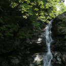 수목향꽃화원