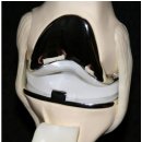 굳건병원 이미지