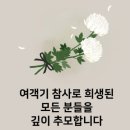 강무관 대호무술체육관 이미지