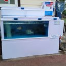 군침돌개 | 제주도 현지인 맛집 먹방여행 후기