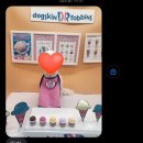 남현댕 애견미용 이미지