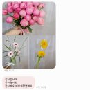 부산자유시장 | 부산범일동 꽃시장 자유도매시장 진플라워 웨딩촬영후기