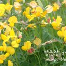 오늘 두시 이미지