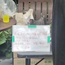 부산시무료지원] 반려식물 분갈이 ? 우리 방토분갈이 할까?