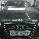 애니카랜드 황금점 이미지