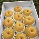 미건농장 이미지