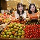 토마토프라자 이미지