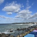 승구목장 | 제주에서 잘 놀따갑성 🍊