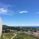 서귀포시청2청사 앞 이미지