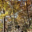 두식농원 이미지