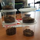 사랑방펫 이미지