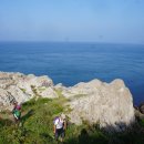 봉글레산 이미지