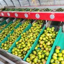 박태원농장 이미지