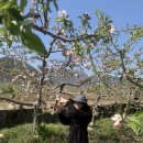 흥이많은농부 이미지