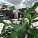 태평양공인중개사무소 이미지