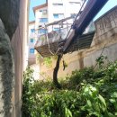 (주)큰나무 이미지