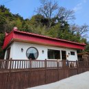 산아래 쉬는집 | 당진 감성 숙소 &#39;산아래&#39; 후기 🌿 반려견과 한옥에서 힐링한 여름날