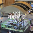 광주 근교 담양 '카페더하루' 대형 수족관 물고기 카페 주말 후기