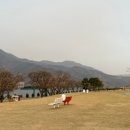 매화공원 이미지