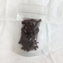 제스트비트 이미지