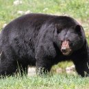 성지파크 이미지