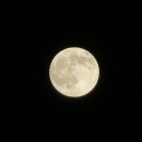 블루문(Blue Moon) 이미지