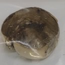 센텀플란트치과의원 이미지