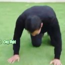 스타모터스 이미지